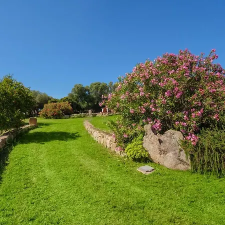 Alexhouse * Baja Sardinia